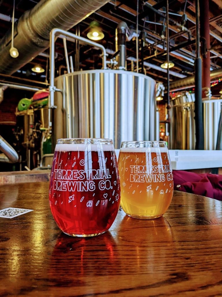 Terrestrial Brewing Company Bfa484ac6b176dc743d87f58af2d1847 768x1024