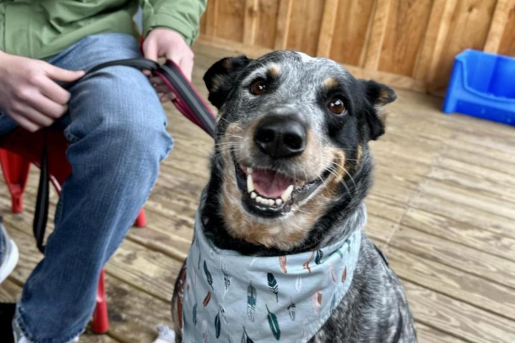 Dog Freindly Brewpub Downtoan Cleveland 1 1024x683